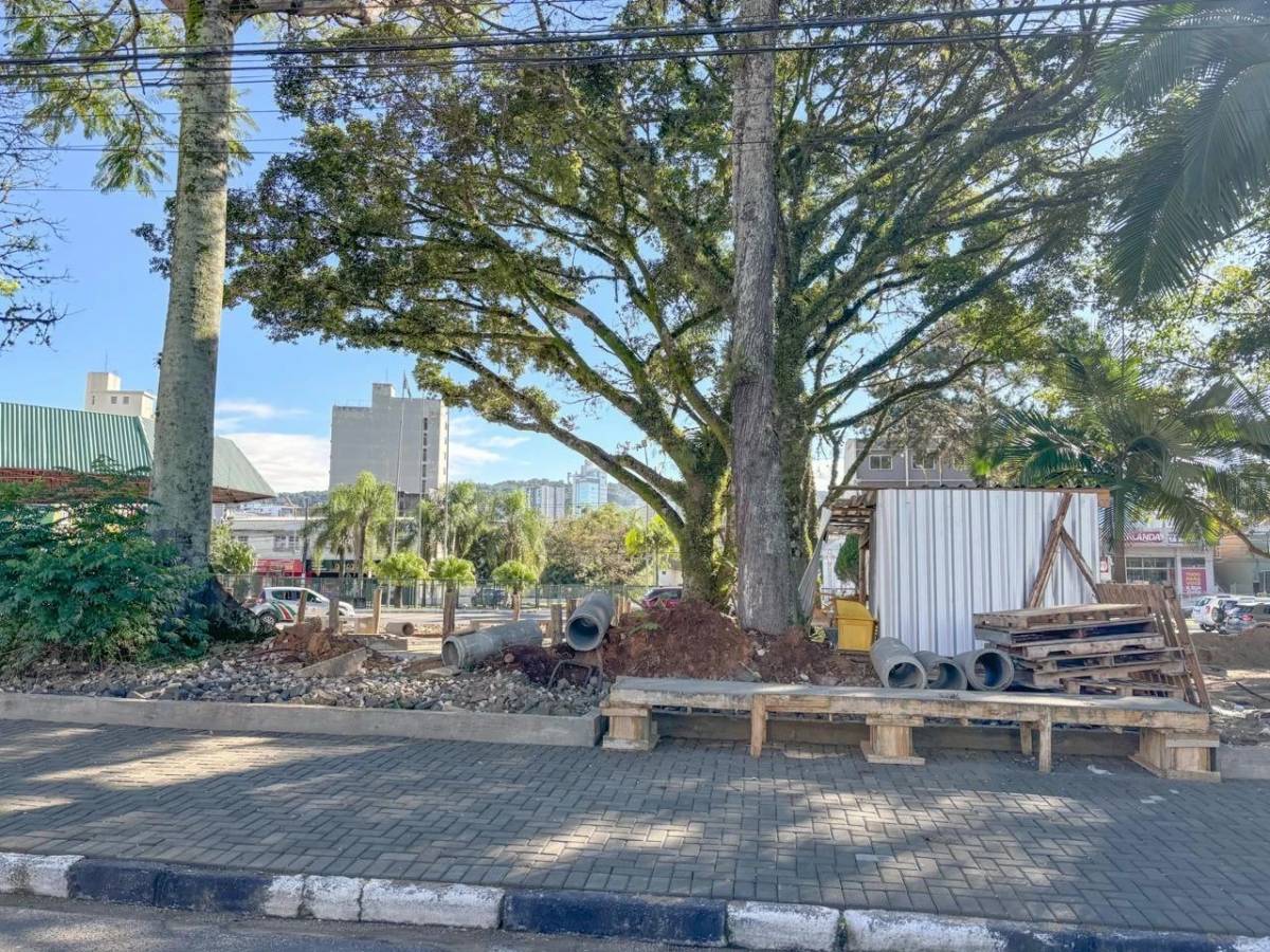 Revitalização da Praça Maria Silva Rodrigues deve ser inaugurada ainda em 2025 — foto 2