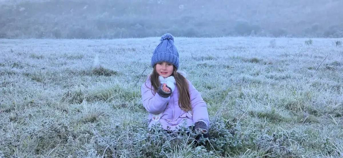 São Joaquim amanhece coberta de geada e registra a menor temperatura do ano — foto 1