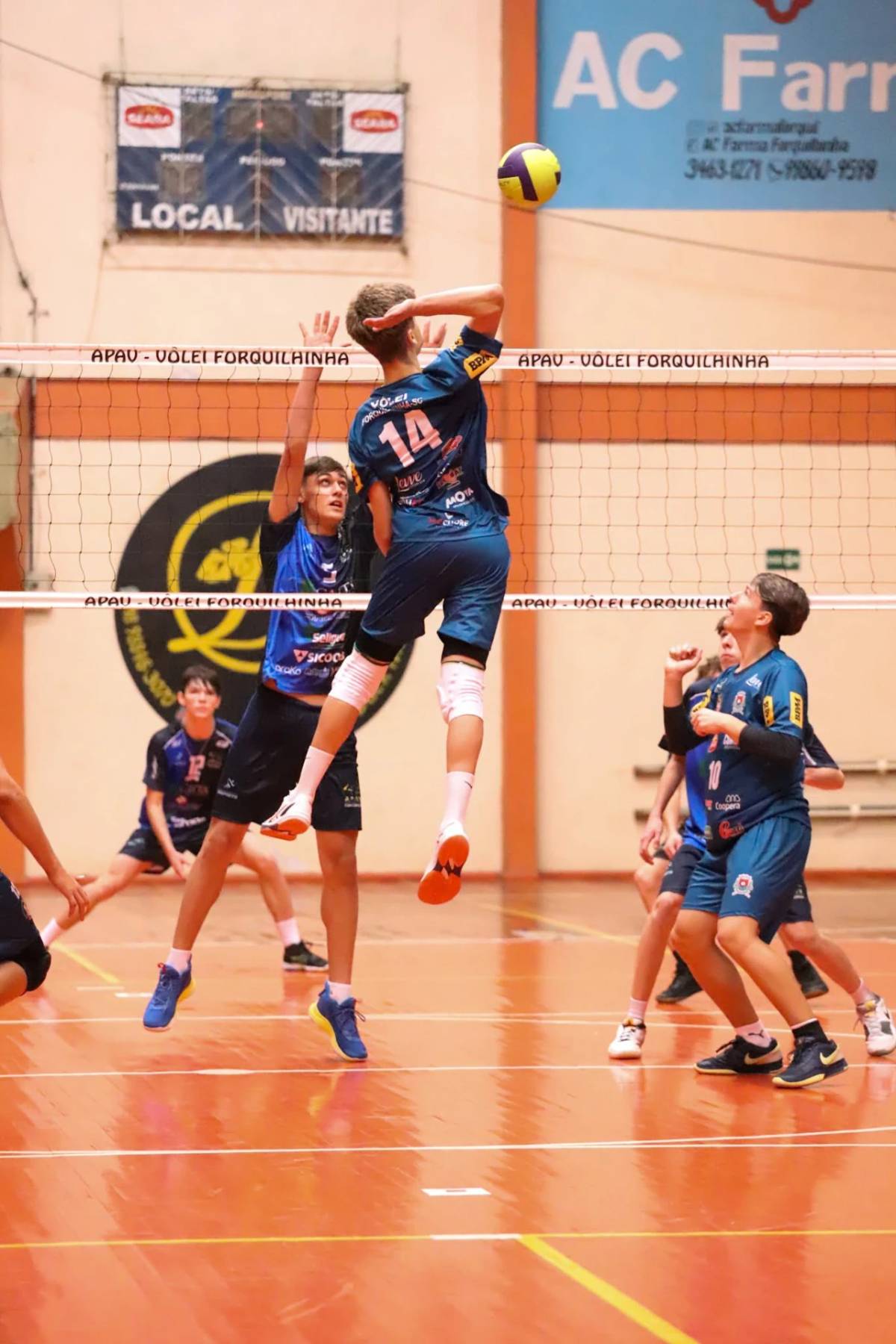 Sem perder nenhum jogo, Vôlei de Forquilhinha é destaque no Campeonato Estadual — foto 2