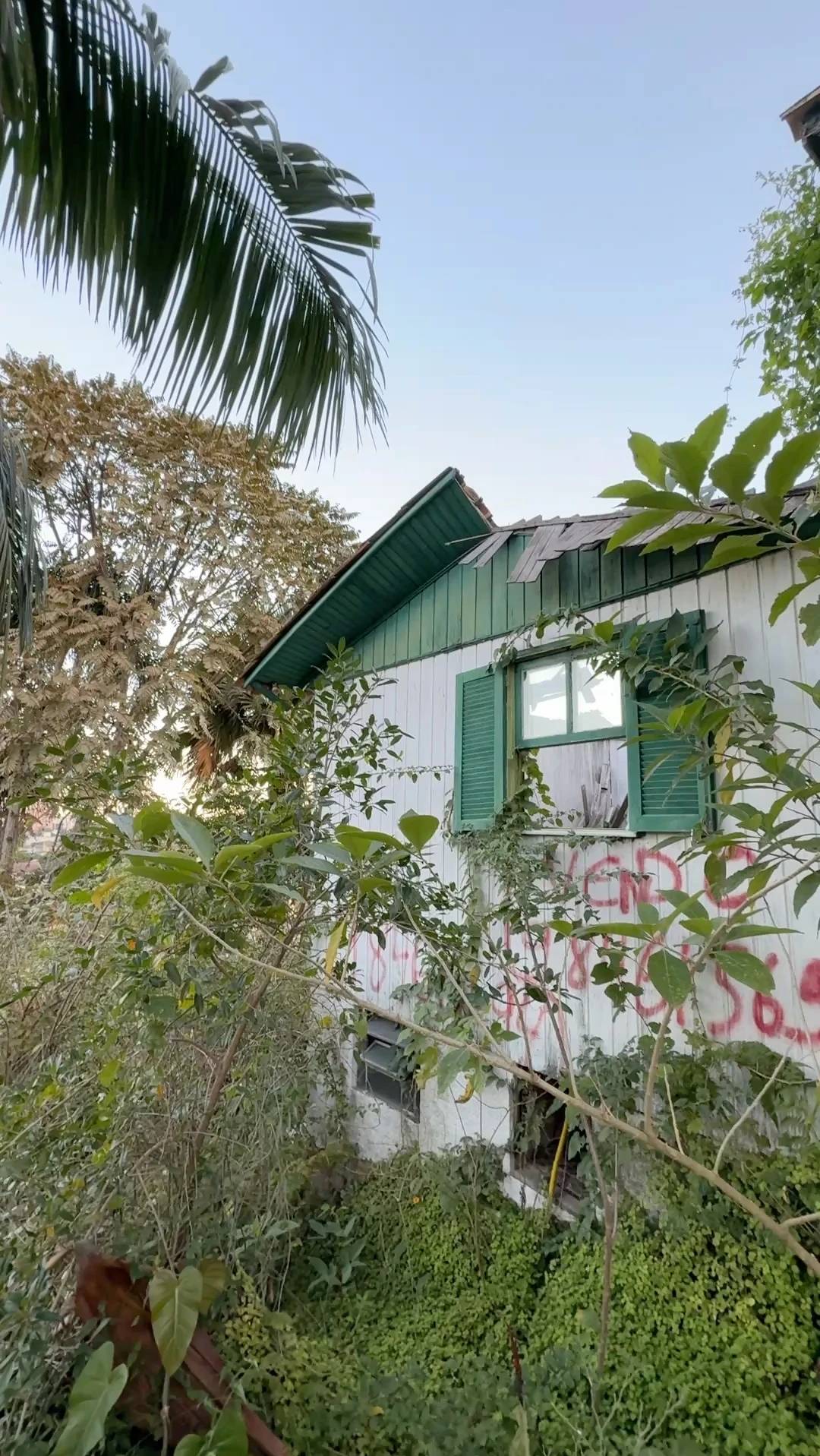 Casa em situação de abandono será demolida em Criciúma — foto 1