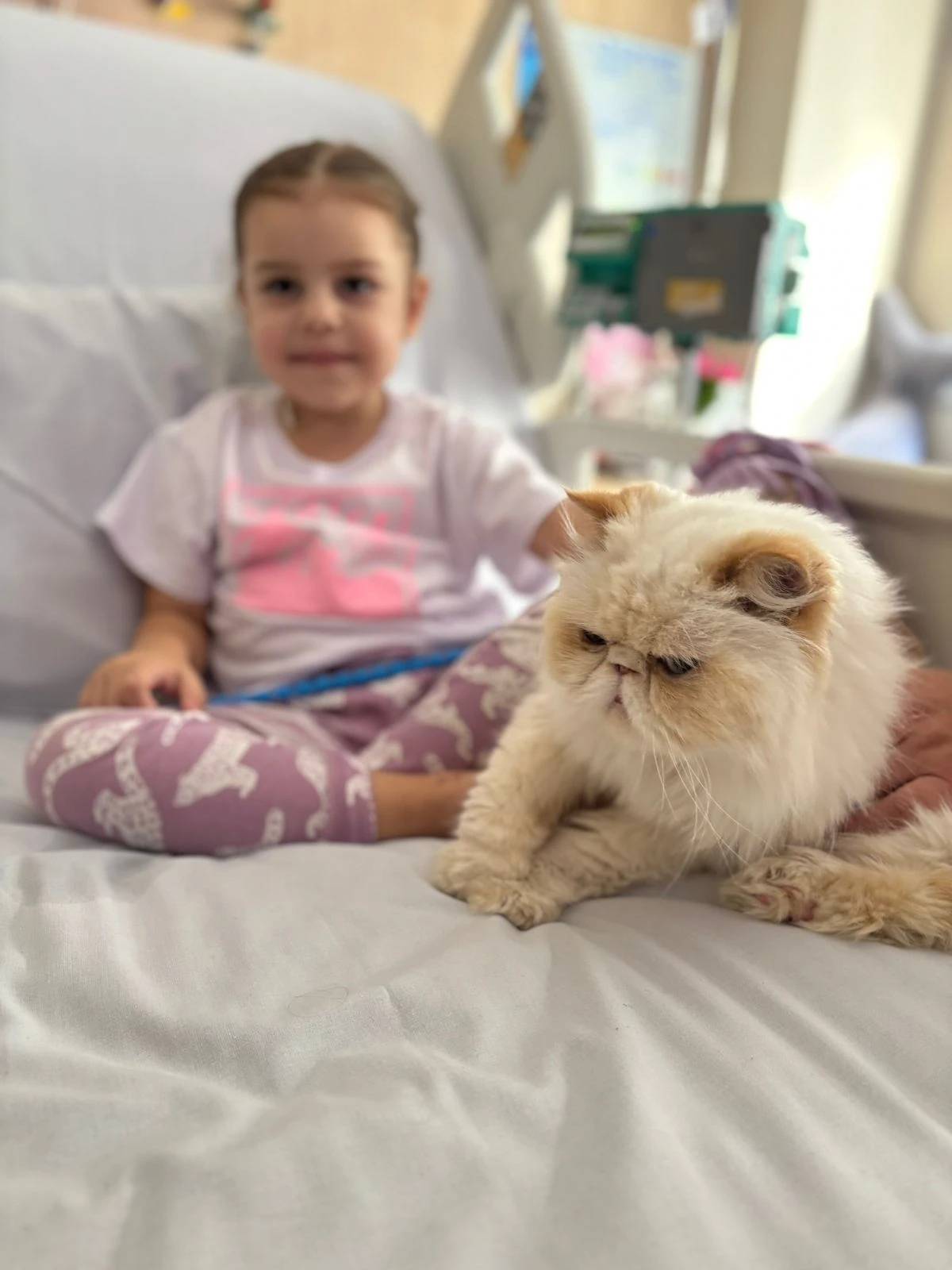 Hospital São José leva amor, música e reencontros aos pacientes no Dia do Que Importa — foto 1