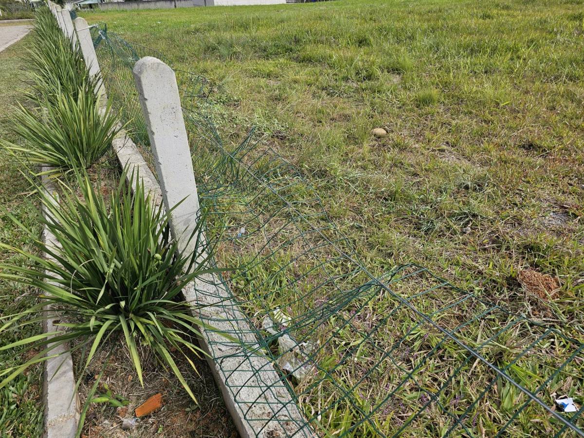Prefeito de Treviso repudia atos de vandalismo em obra inaugurada há seis meses — foto 2