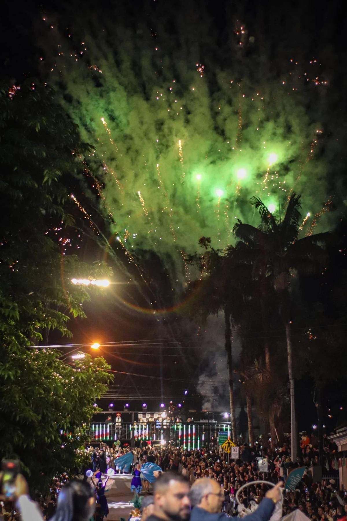 Festa da Gastronomia registra público de 150 mil pessoas e supera expectativas em Nova Veneza — foto 2