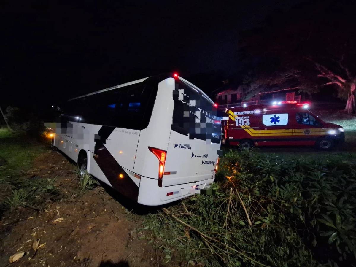 Passageiras ficam feridas após micro-ônibus sair da pista e colidir contra tronco de árvore — foto 1