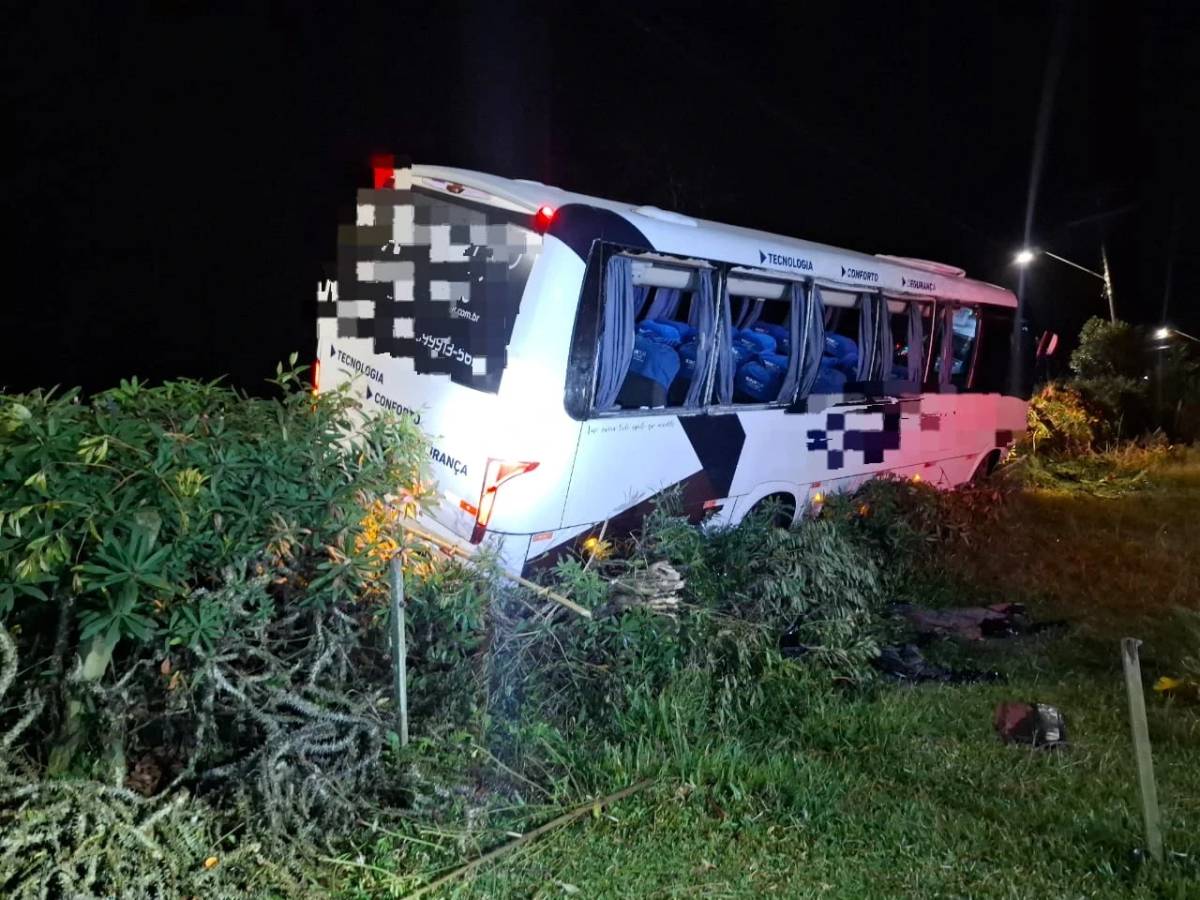 Passageiras ficam feridas após micro-ônibus sair da pista e colidir contra tronco de árvore — foto 2
