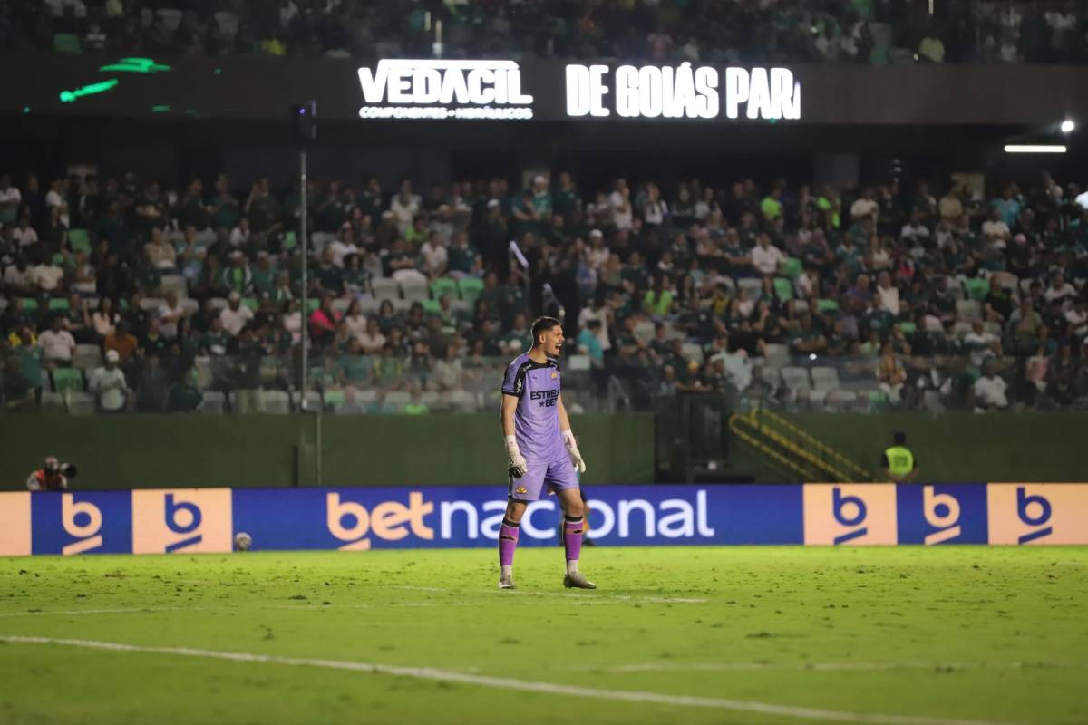 Veja os gols e fotos do empate entre Goiás e Criciúma — foto 2