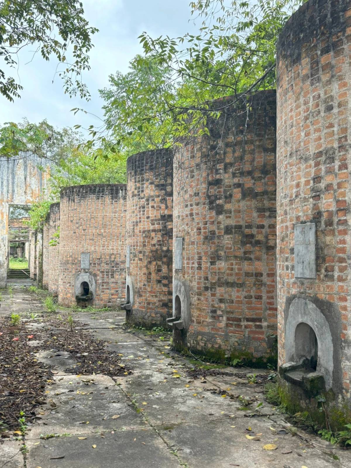 Primeira vinícola industrial do Sul catarinense é tombada em Urussanga — foto 4