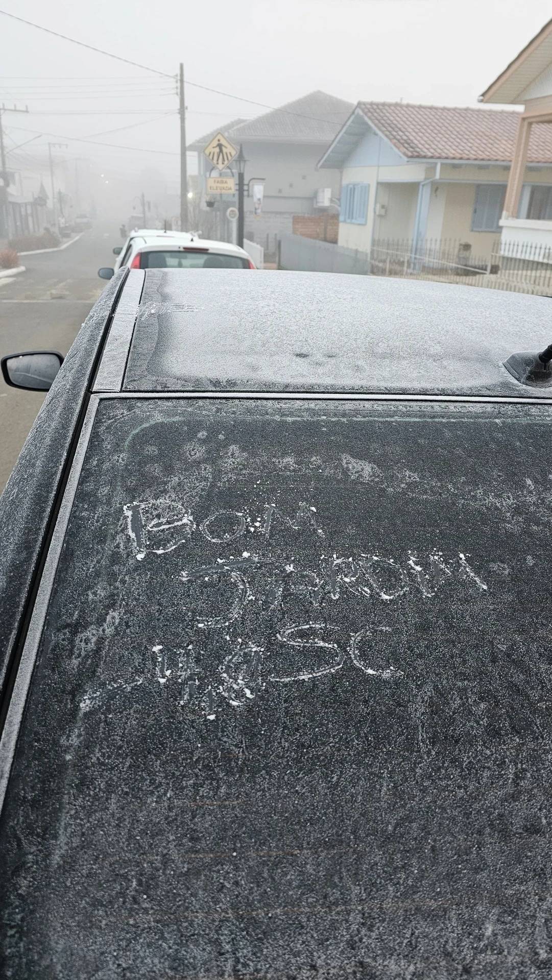 Serra catarinense amanhece com geada e temperaturas abaixo de zero; veja fotos e vídeos — foto 1