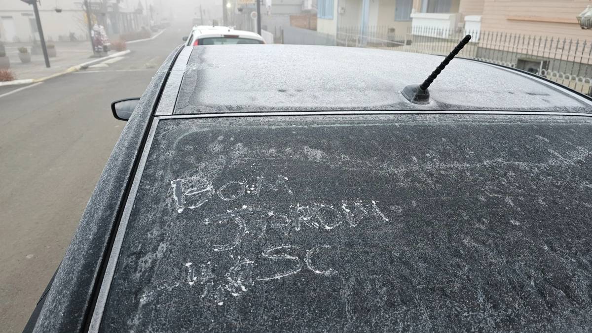 Serra catarinense amanhece com geada e temperaturas abaixo de zero; veja fotos e vídeos — foto 2