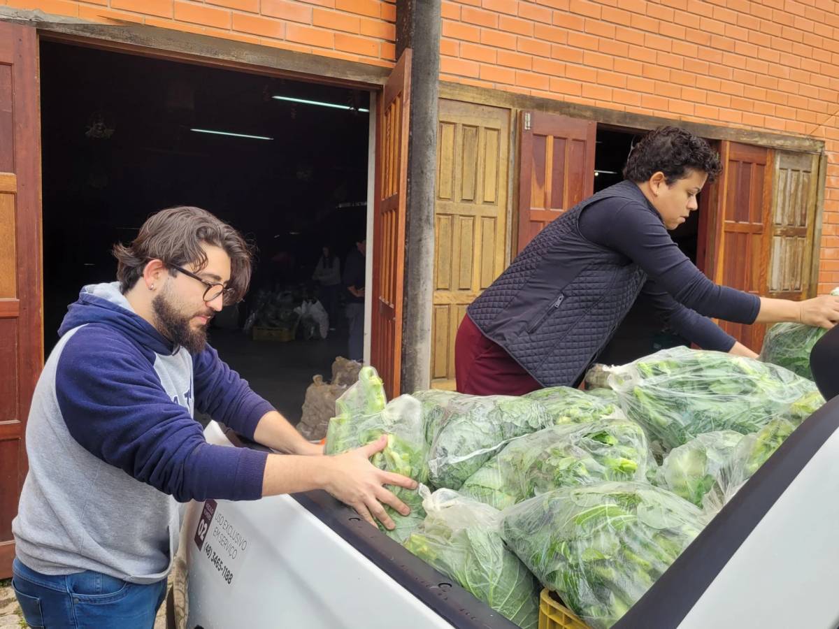 Alimentos são distribuídos para entidades e famílias em situação de vulnerabilidade — foto 1