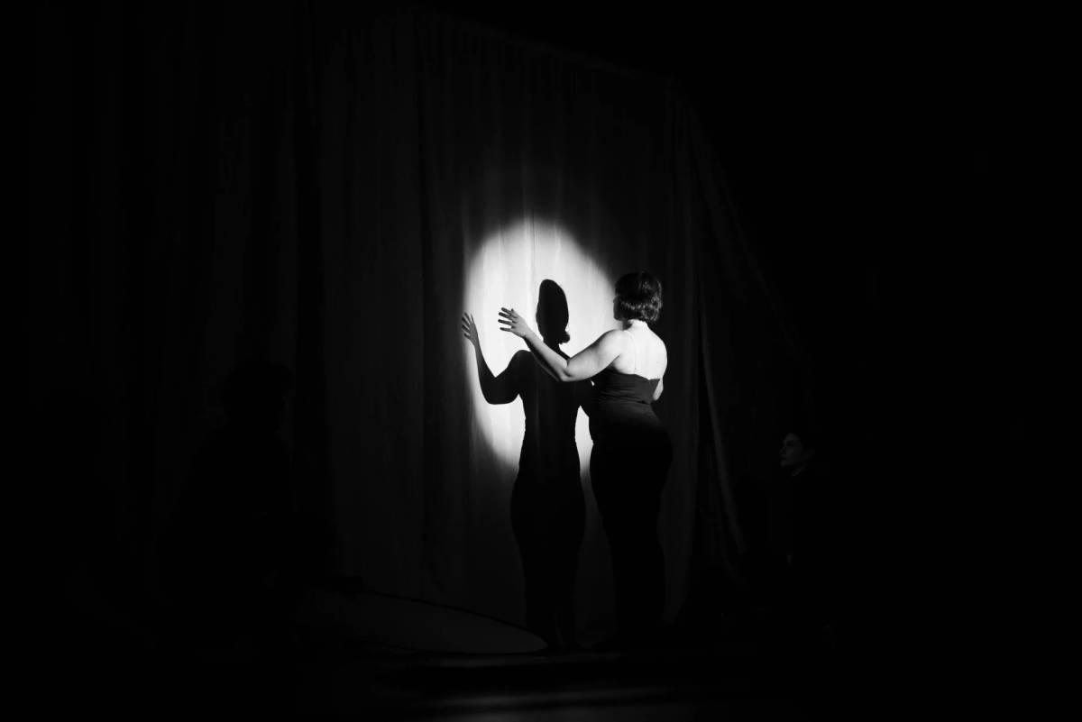 Teatro de sombras promove reflexão com inclusão e acessibilidade em Nova Veneza — foto 1