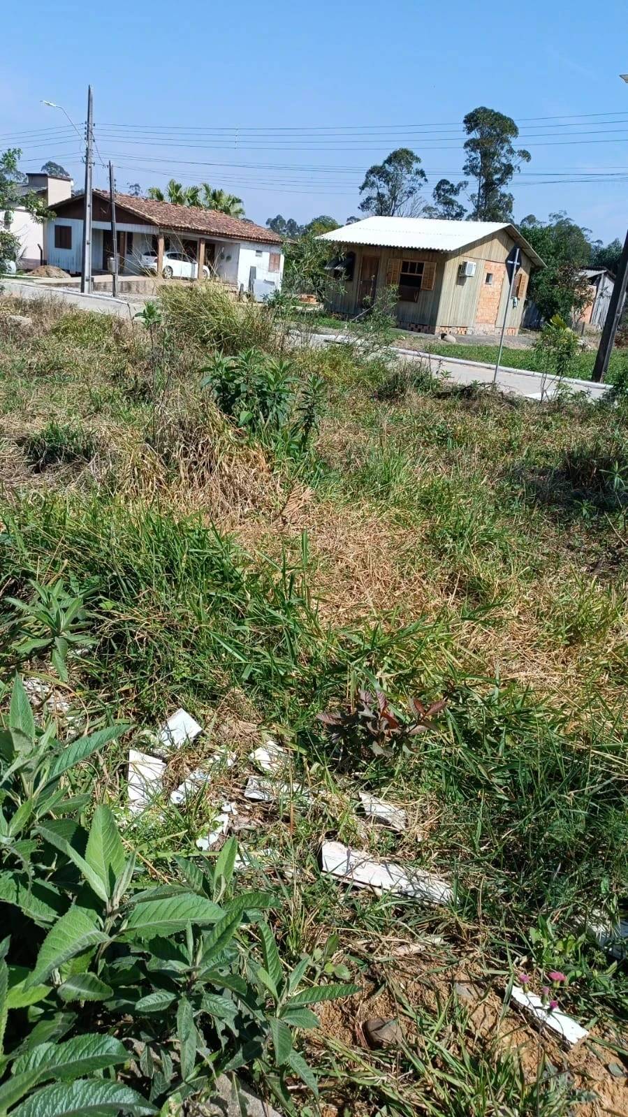 Vereador questiona possibilidade de melhorias no entorno do cemitério do bairro Verdinho — foto 2