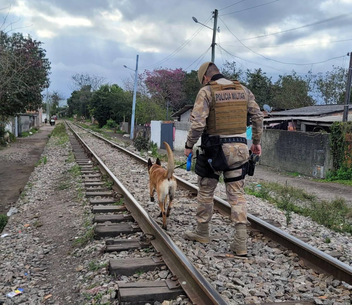 PM já realizou 12 prisões em flagrante durante a Operação Apneia — foto 5