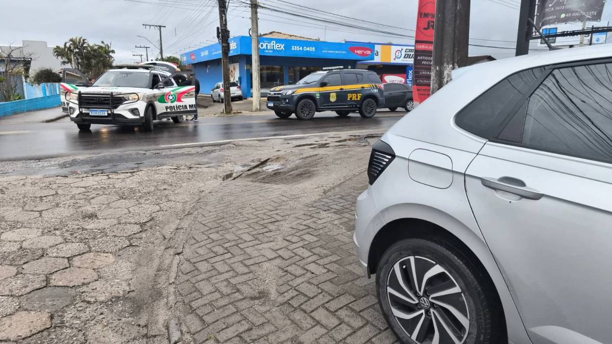 Quilos da 'supermaconha' apreendidos no Sul de SC poderiam render milhões aos traficantes — foto 1