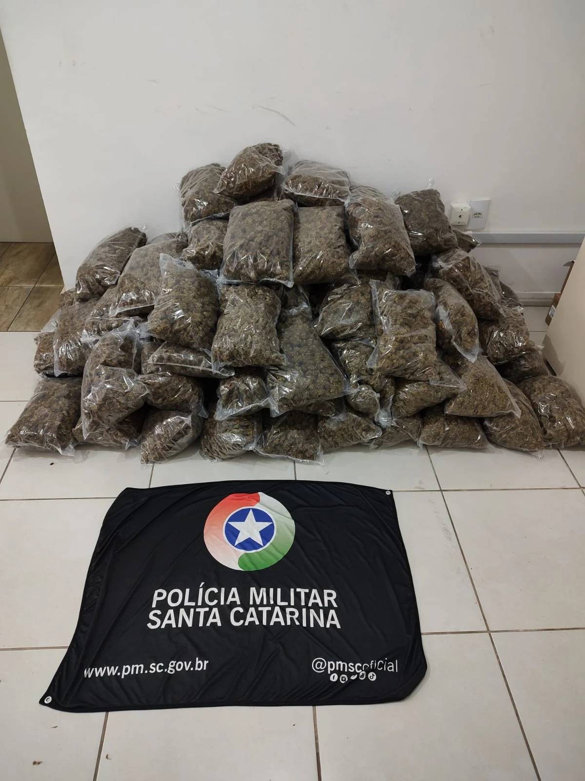 Quilos da 'supermaconha' apreendidos no Sul de SC poderiam render milhões aos traficantes — foto 2