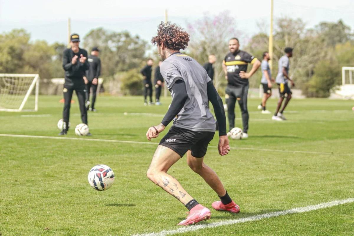 Fotos: com reforços, Tigre realiza treino nesta terça-feira — foto 2