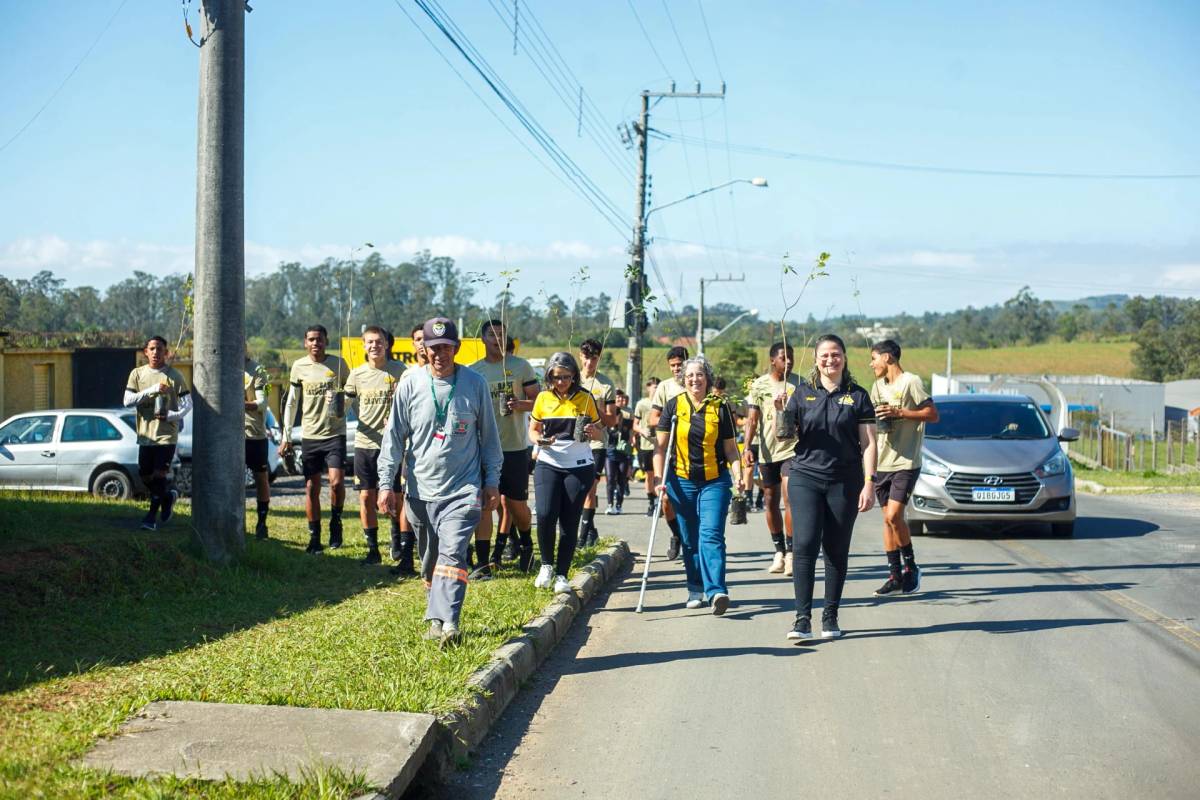 Alameda dos Ipês: Tigre celebra Centenário com plantio de 100 mudas ao redor do CT — foto 9