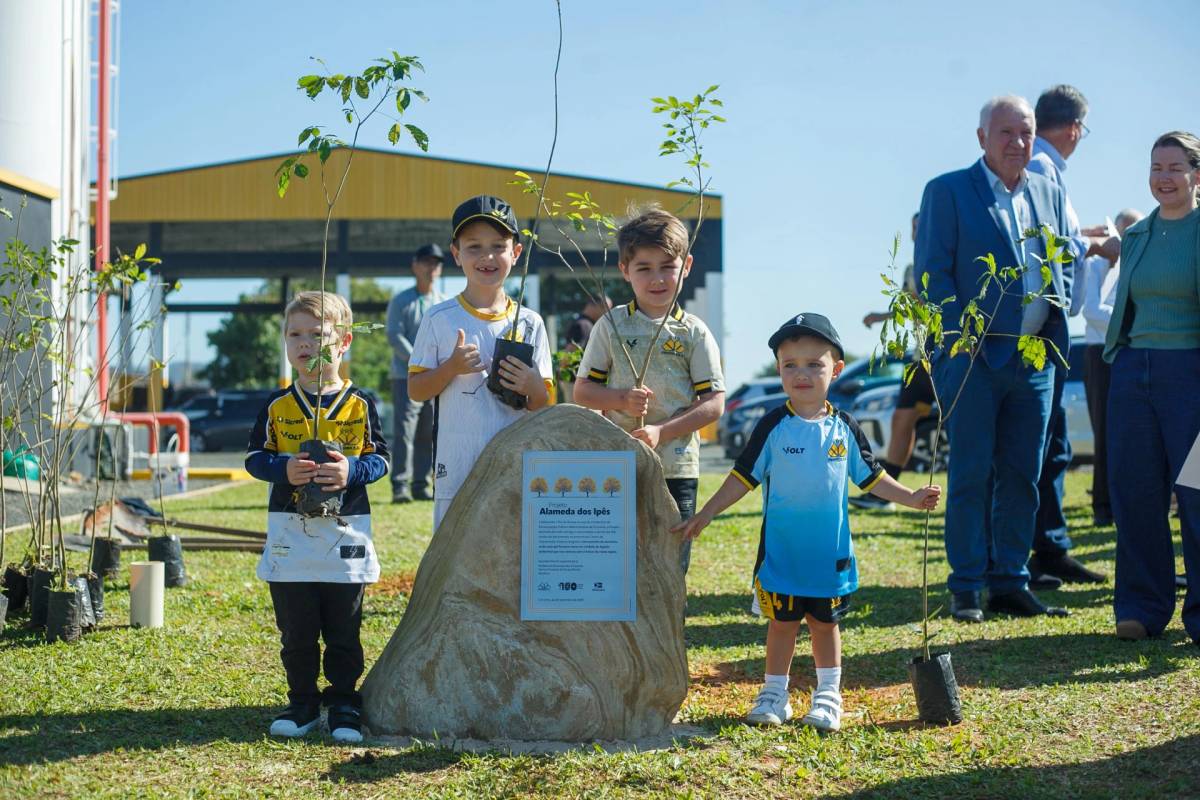 Alameda dos Ipês: Tigre celebra Centenário com plantio de 100 mudas ao redor do CT — foto 1