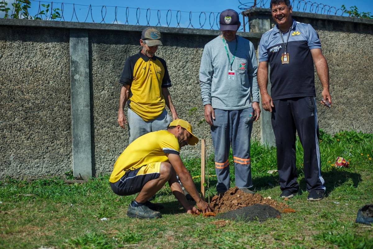Alameda dos Ipês: Tigre celebra Centenário com plantio de 100 mudas ao redor do CT — foto 2