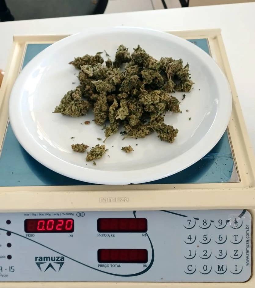 Vídeo: motorista é flagrado na BR-101 transportando 11 quilos de maconha para Criciúma — foto 1
