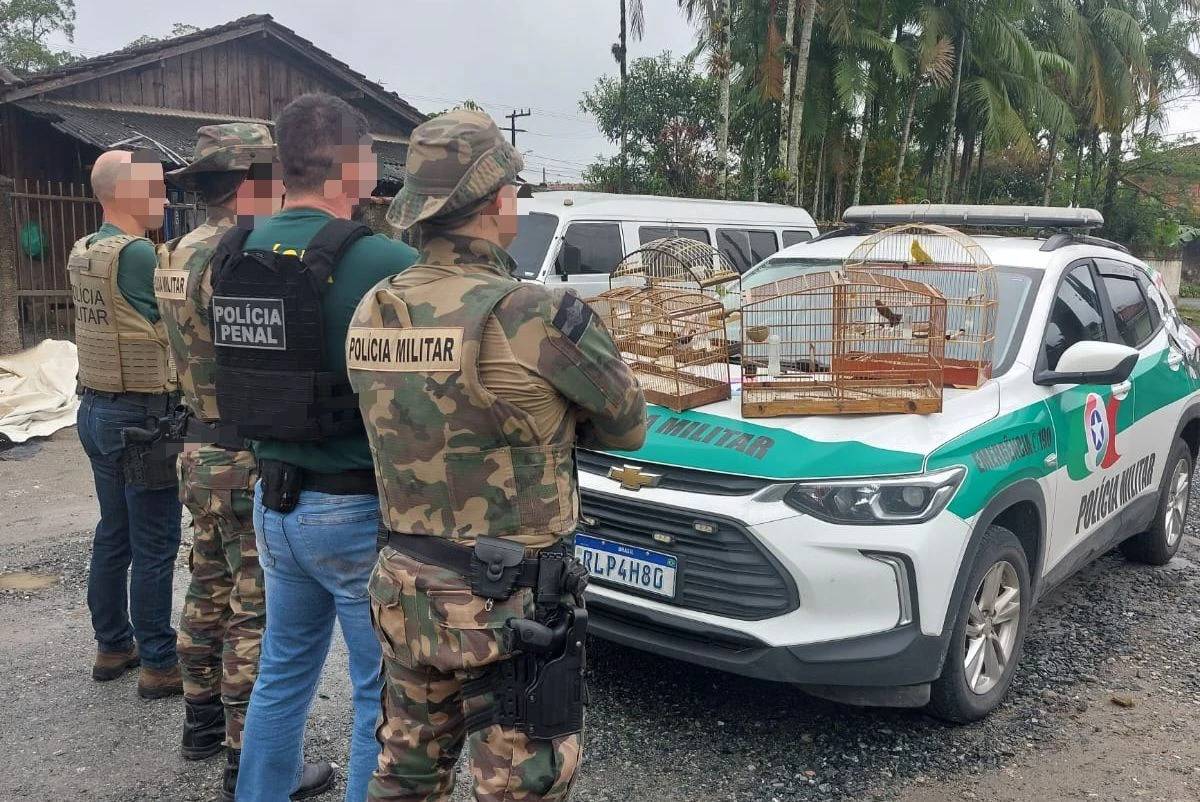 Fotos: seis são presos em flagrante durante operação em combate a crimes contra animais silvestres — foto 12