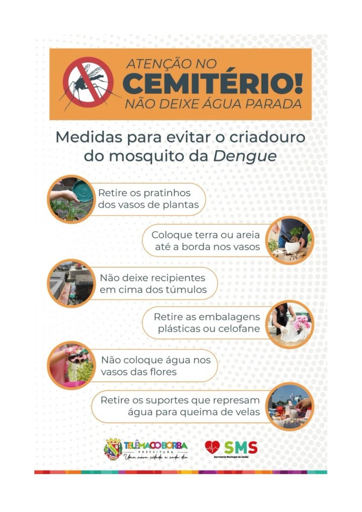 Dengue: quais são os cuidados necessários para o Feriado de Finados? — foto 1