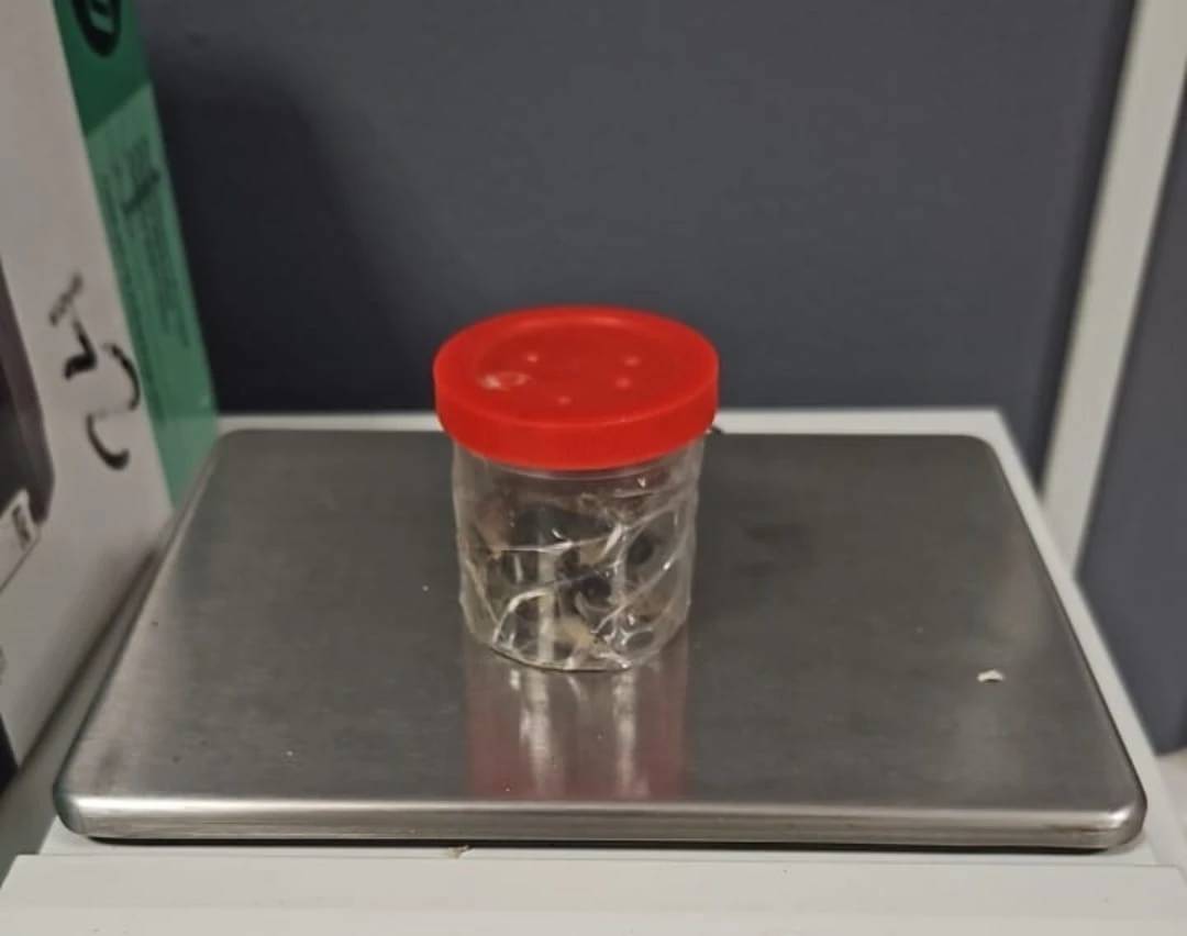 Araranguá: jovem é preso em operação contra o tráfico de drogas — foto 2