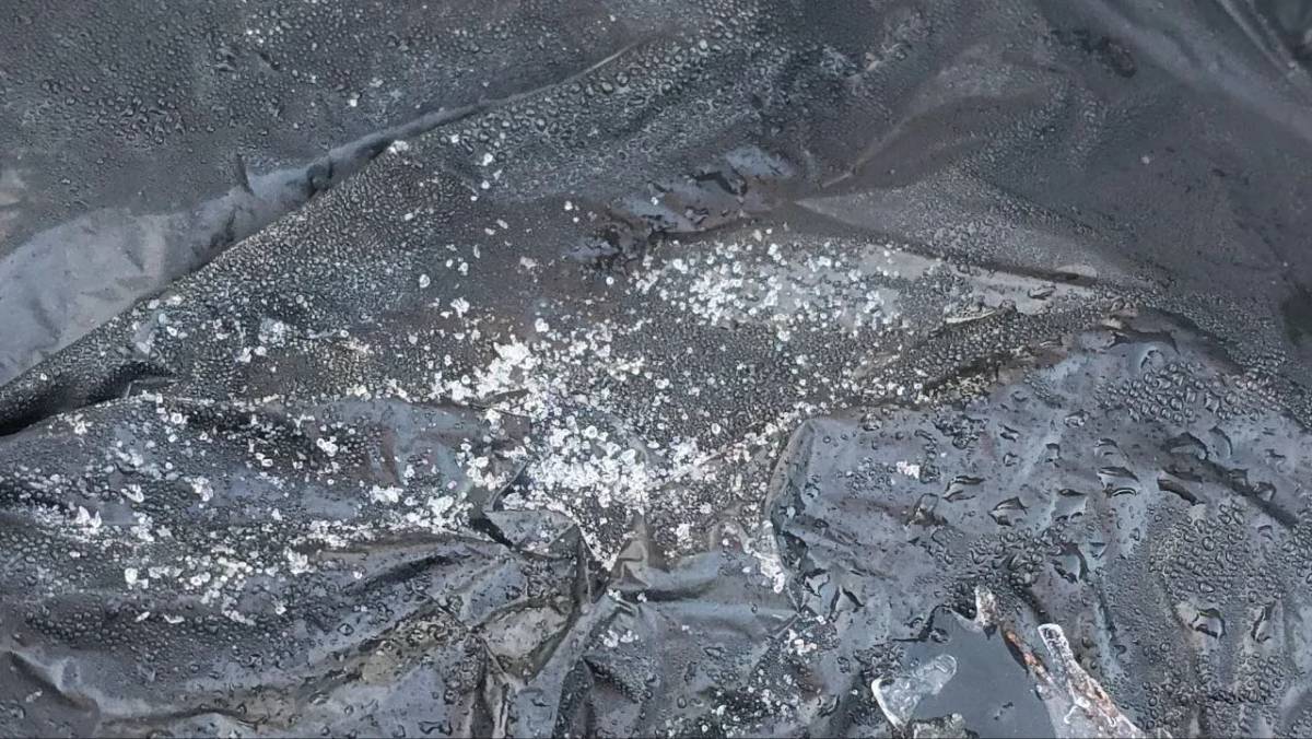 Serra catarinense amanhece com geada e temperaturas próximas de 0°C; veja fotos e vídeo — foto 5