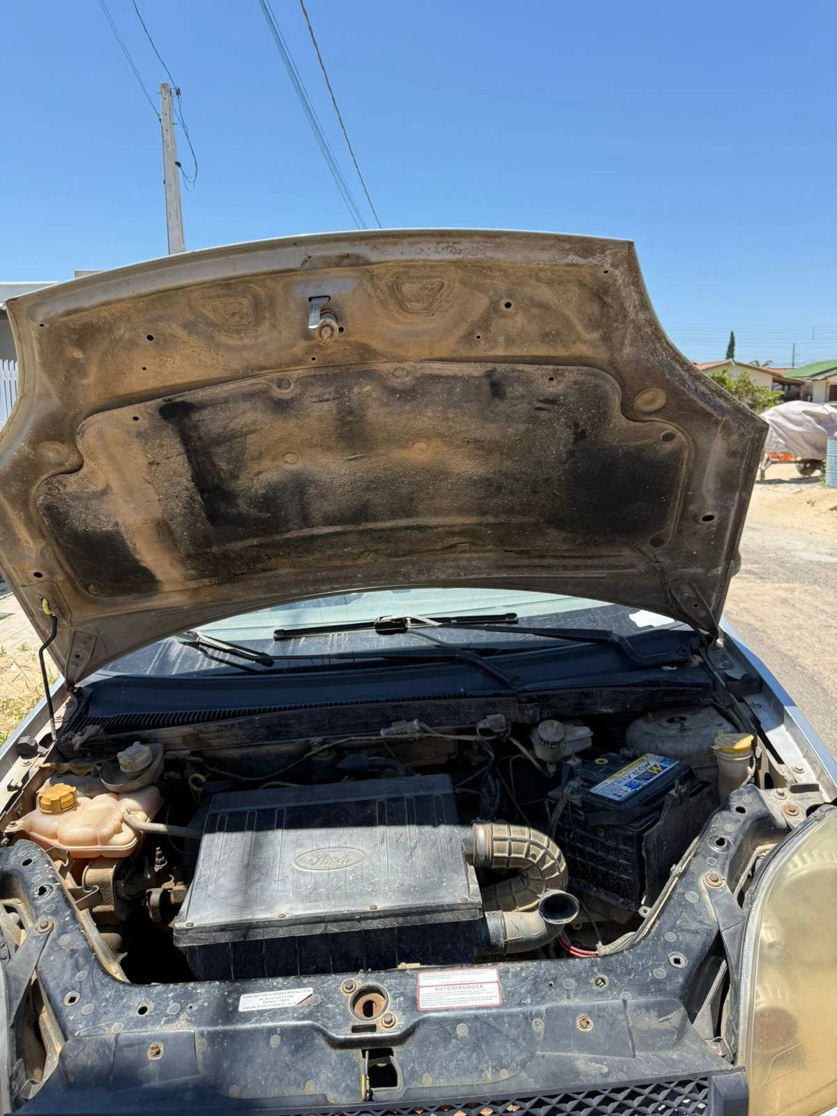 Cobra é resgatada após ficar presa em motor de carro — foto 1