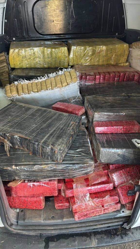 Vídeo: Força Integrada de Combate ao Crime Organizado de SC apreende 500 quilos de maconha; um homem foi preso — foto 1