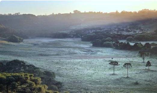 Carros e plantas cobertos de gelo: Serra catarinense registra segunda geada em dez dias — foto 1