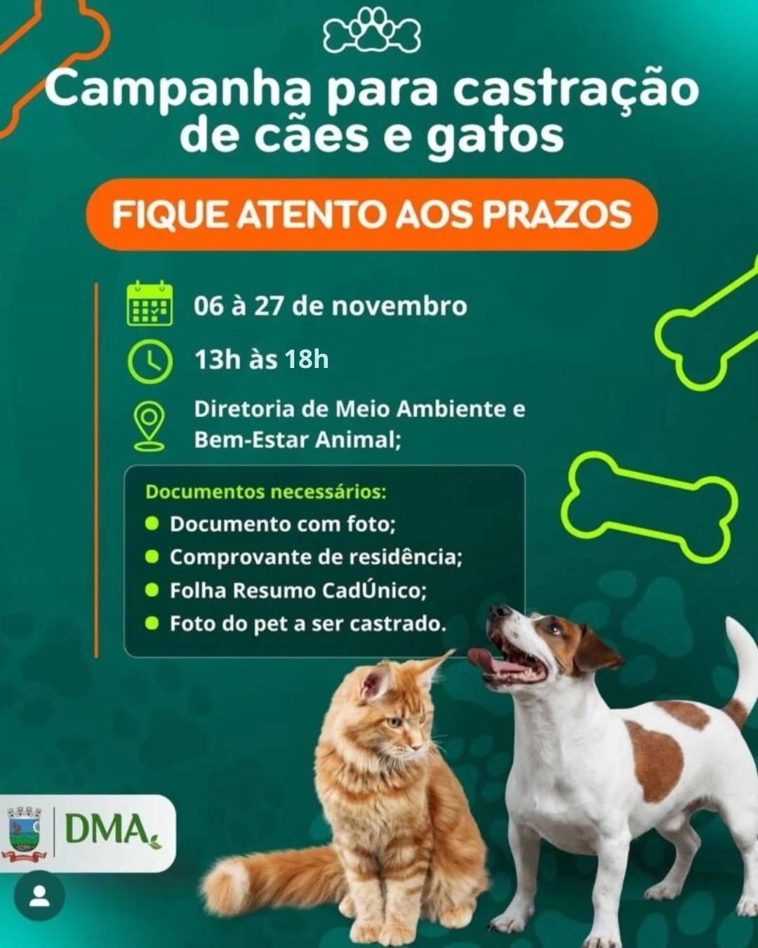 Campanha de castração de cães e gatos está próxima do encerramento em Urussanga — foto 1