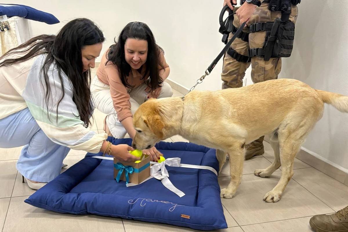 Cinoterapia: projeto da Afasc e PM beneficiou 80 crianças em 2025 — foto 3