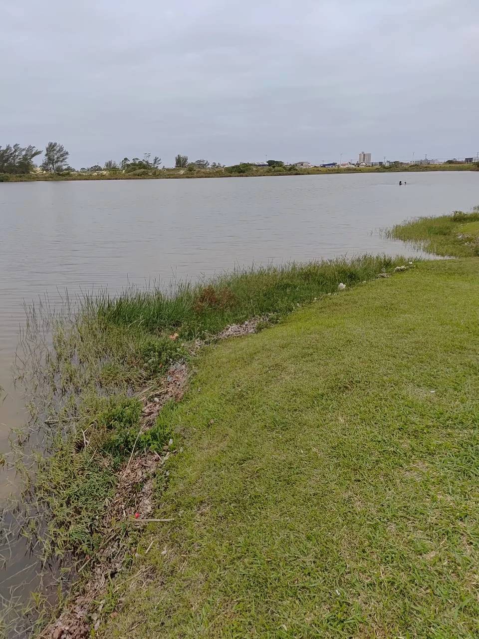 Balneário Rincão: vereador aponta acúmulo de lixo e vegetação na Lagoa dos Freitas — foto 2