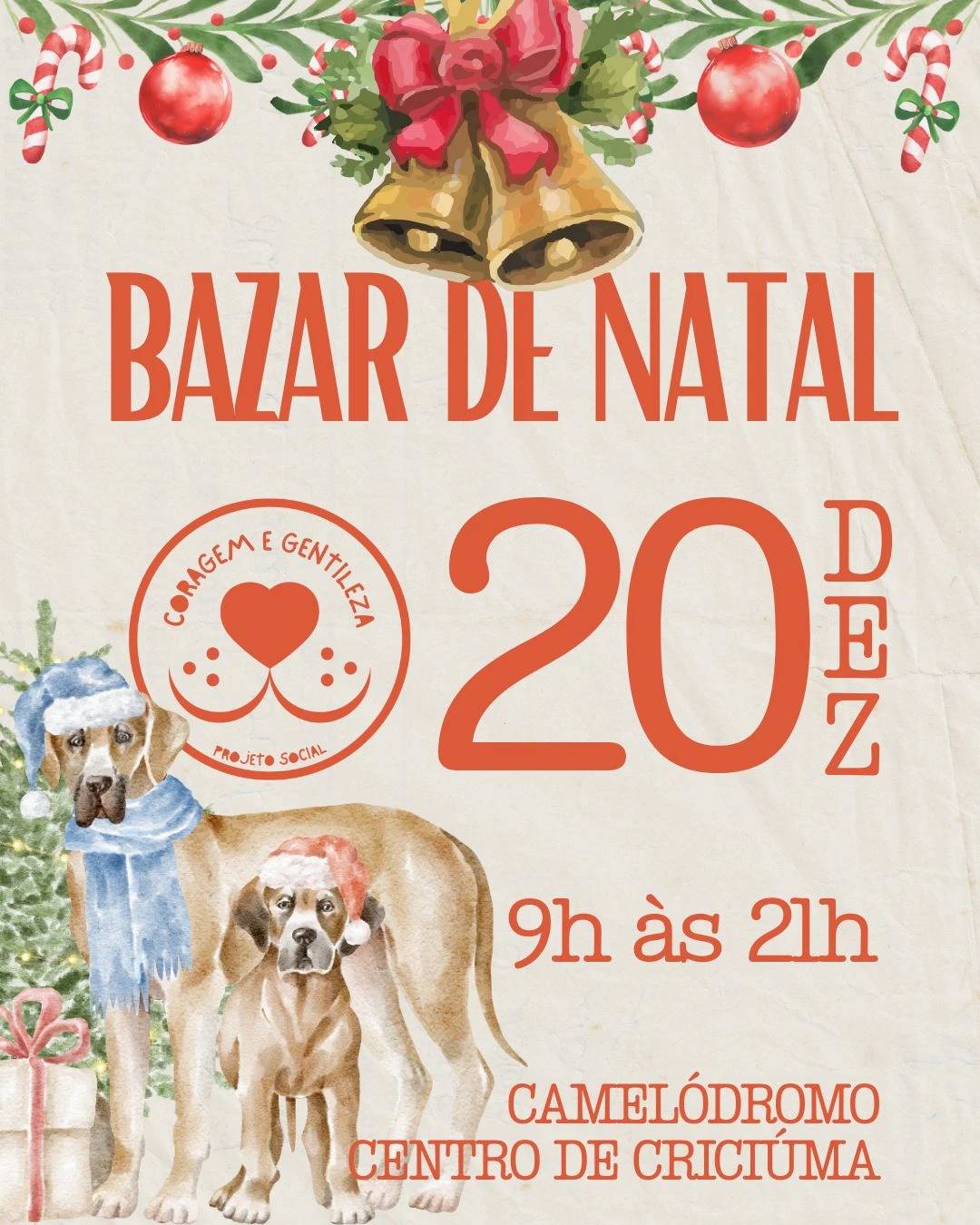 Bazar de Natal reúne peças de até R$ 30 em Criciúma neste sábado — foto 5