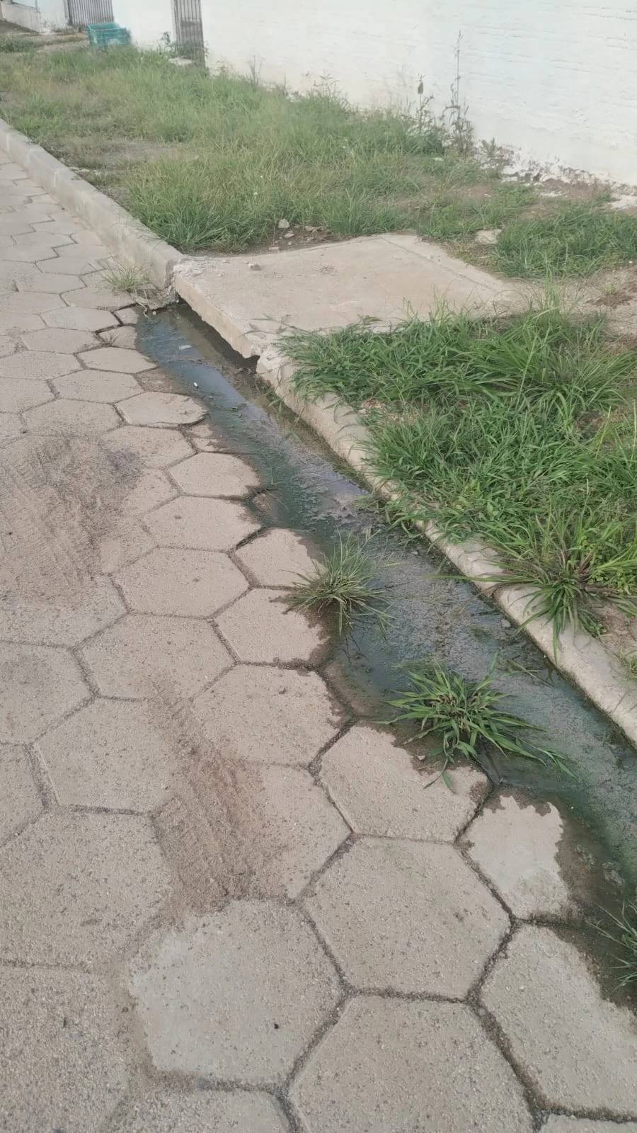 Vazamento em rua preocupa morador de bairro em Criciúma — foto 1