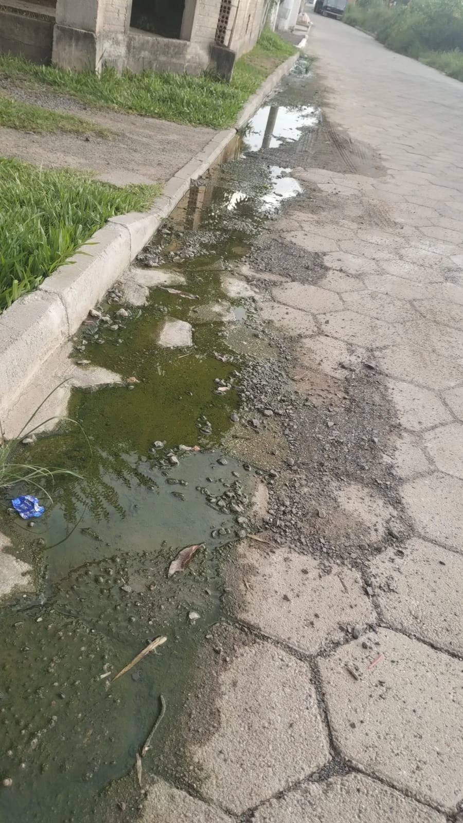 Vazamento em rua preocupa morador de bairro em Criciúma — foto 4