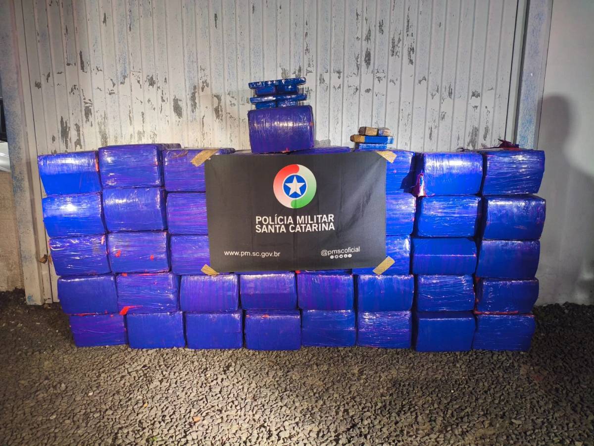PM apreende uma tonelada de drogas e prende mais de 250 pessoas nos primeiros dias de 2026 — foto 2