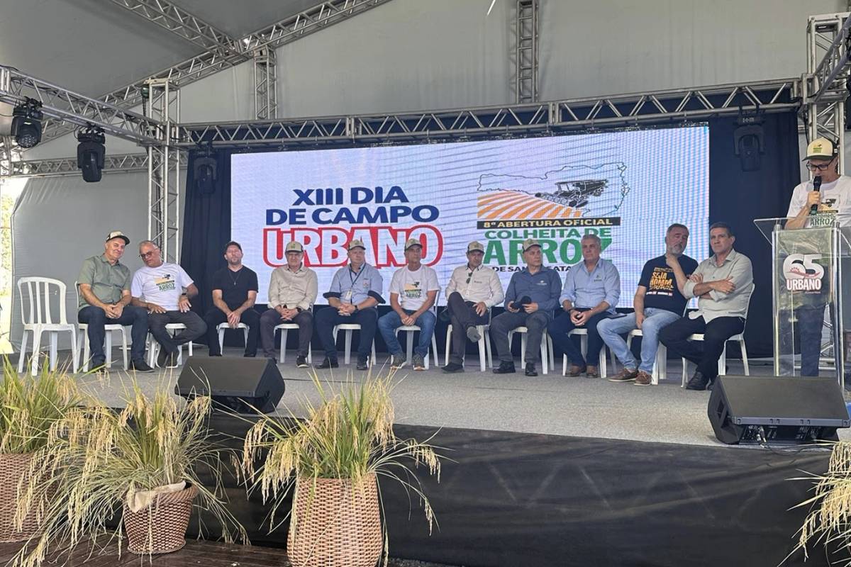 Mesmo diante da crise, setor orizícola catarinense dá início à colheita unido em busca de melhorias — foto 1