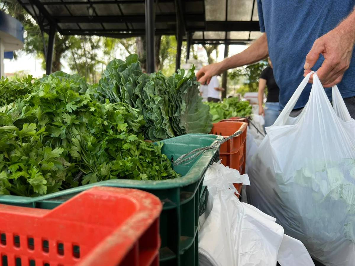 Feira da Agricultura Familiar de Siderópolis retoma atividades com todos os feirantes neste sábado — foto 1