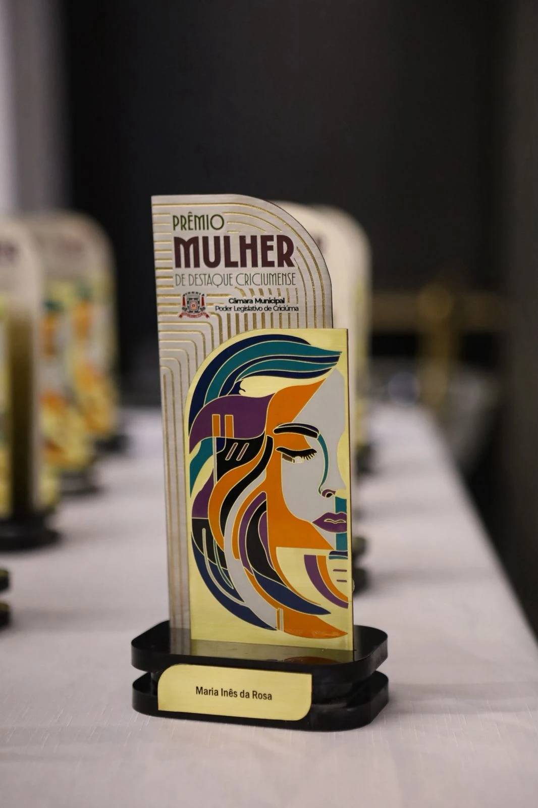 Câmara de Criciúma celebra mulheres que fazem a diferença — foto 2