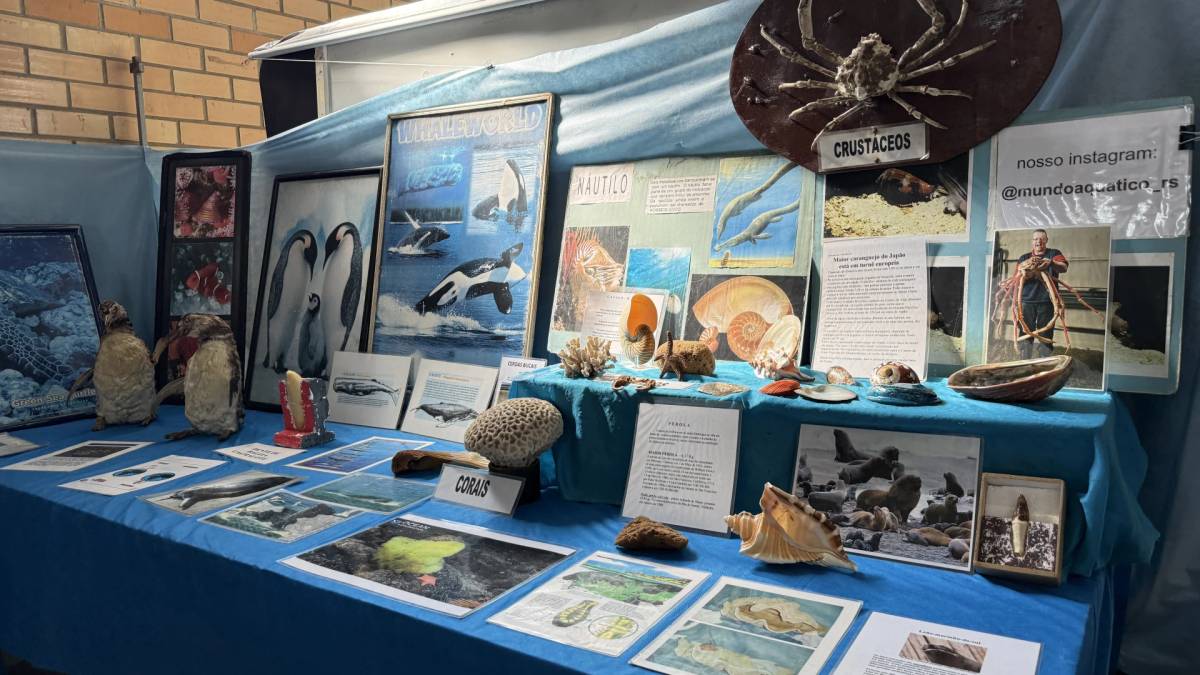 “Projeto Mundo Aquático” reúne cerca de 400 crianças em exposição — foto 2