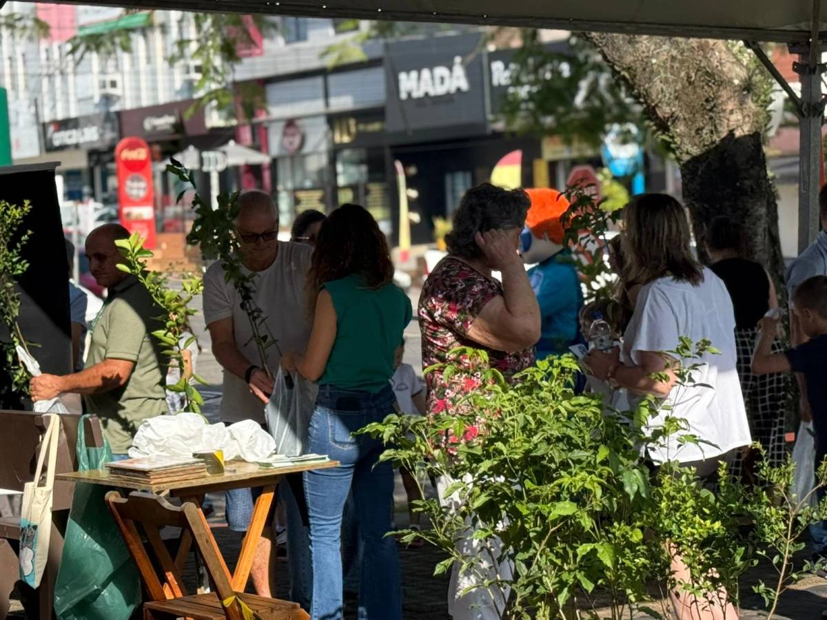 Cocal do Sul: Semana da Água mobiliza escolas e encerra com distribuição de mudas — foto 5