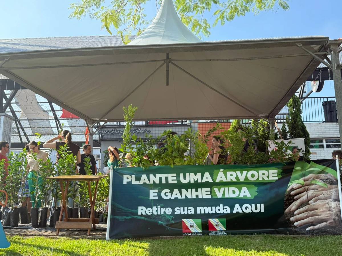 Cocal do Sul: Semana da Água mobiliza escolas e encerra com distribuição de mudas — foto 1