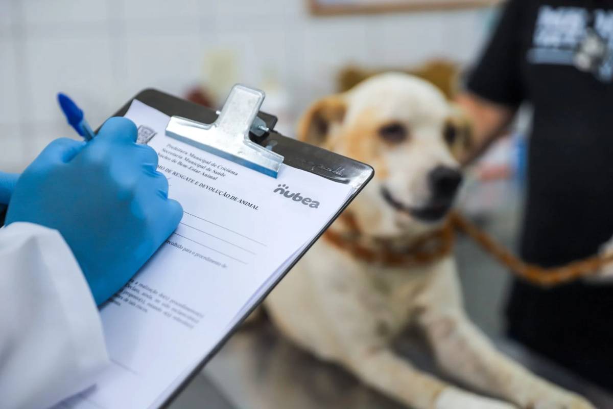 Criciúma amplia atendimento veterinário público e prepara centro de saúde animal — foto 2