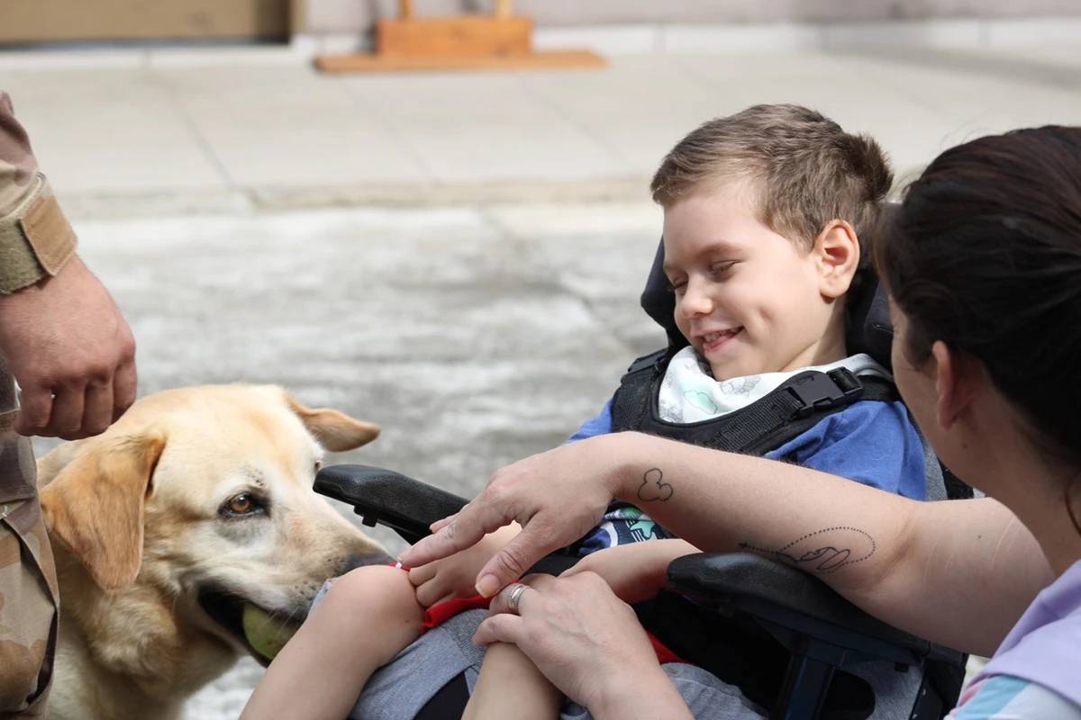 Criciúma: projeto “Mascote Amigo” retoma atendimentos de cinoterapia — foto 2