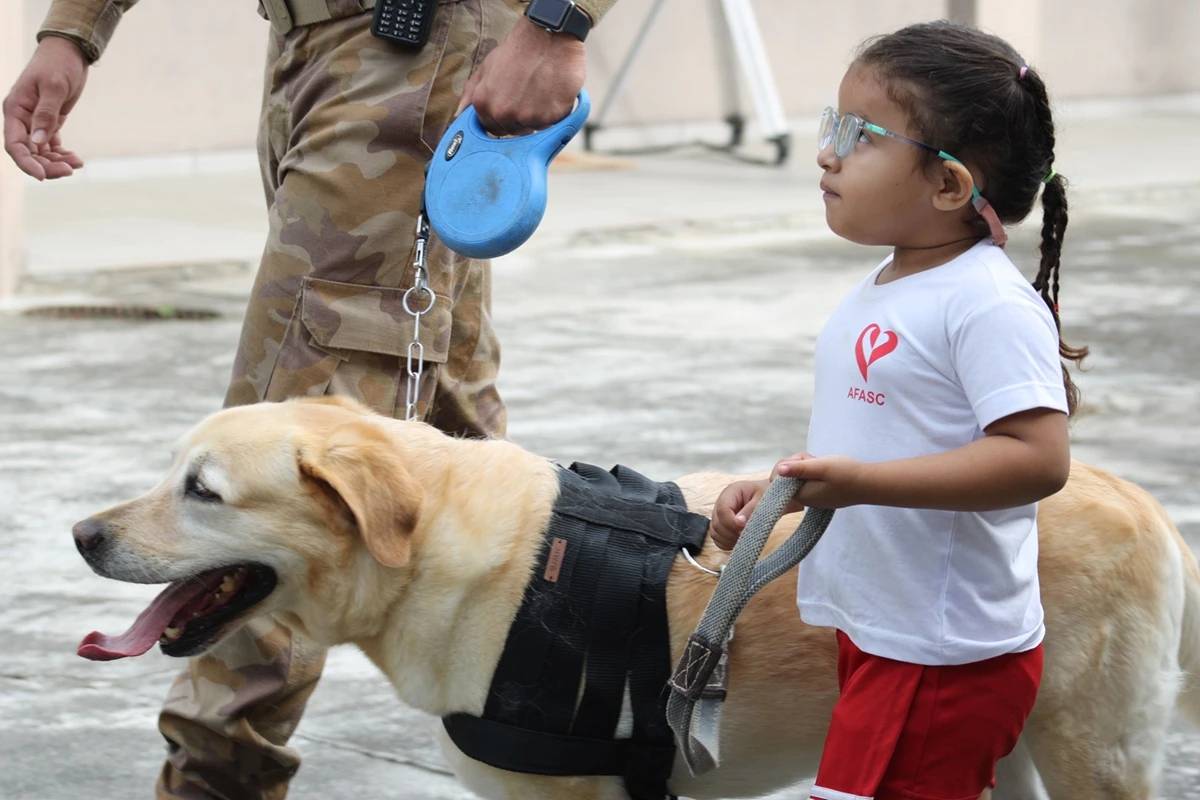 Criciúma: projeto “Mascote Amigo” retoma atendimentos de cinoterapia — foto 3