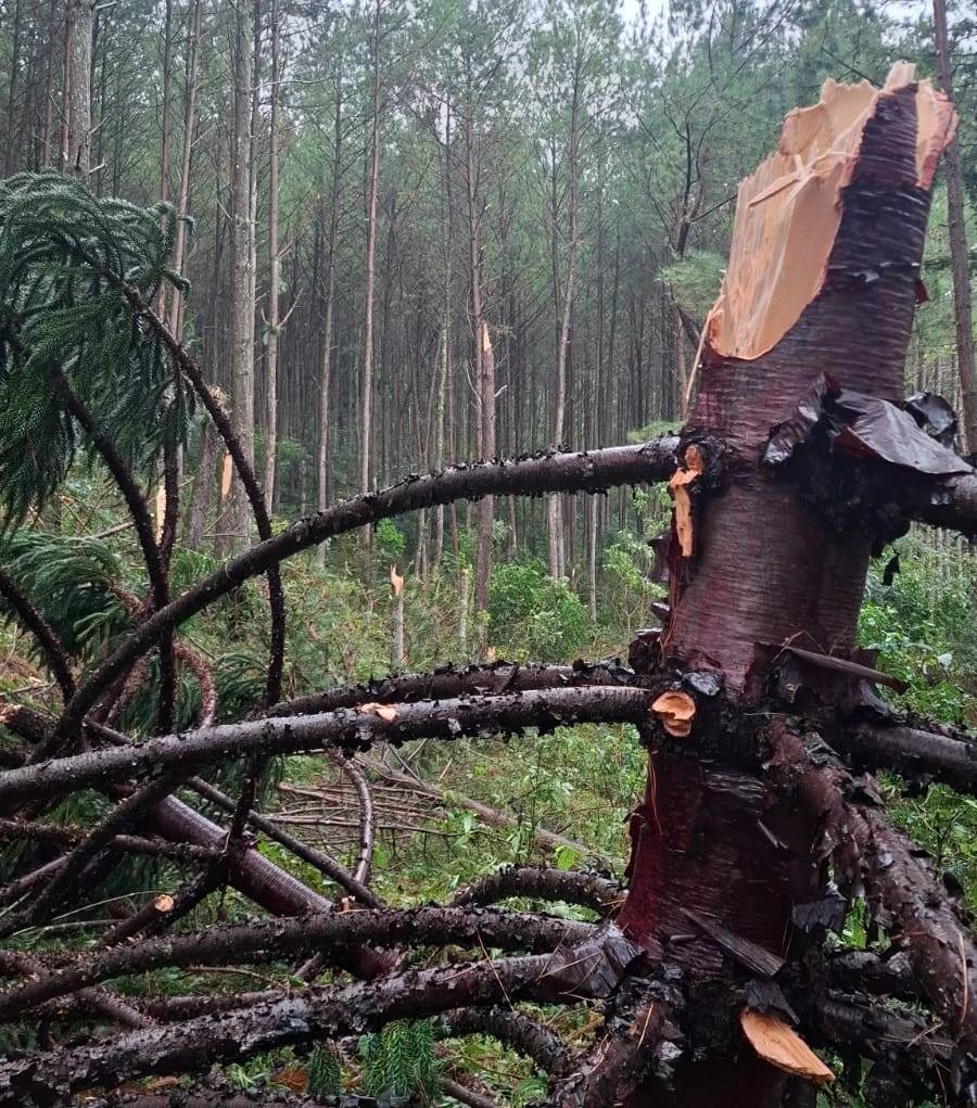 Defesa Civil avalia possível tornado após tempestades severas em regiões de SC — foto 1