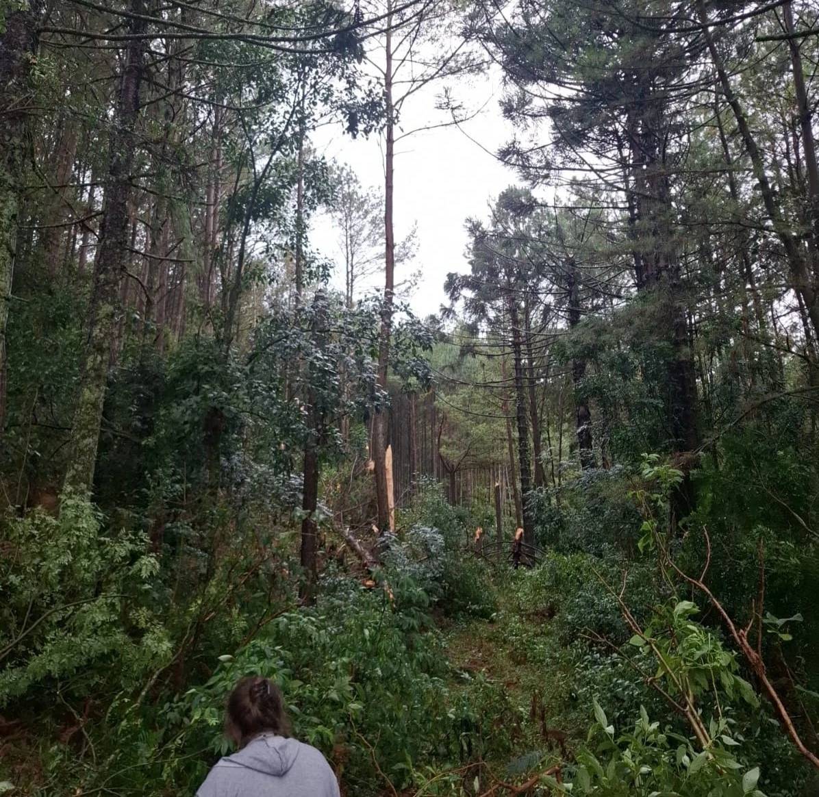 Defesa Civil avalia possível tornado após tempestades severas em regiões de SC — foto 11
