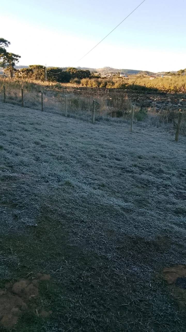 Frio provoca formação de geada em Bom Jardim da Serra nesta quinta-feira — foto 1